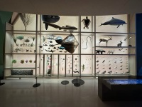 20230320-102832-IMG_9618
