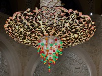 20230325-222326-IMG_9874