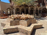 20230329-103921-IMG_9957