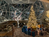 20211122-190948-orient-250