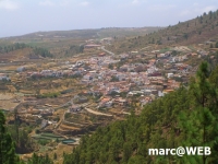 CIMG8156.JPG