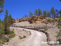 CIMG8170.JPG