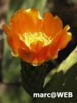 PICT0160.JPG