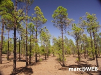 PICT0195.JPG