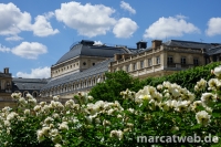 Paris-DSC01079