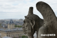 Paris (16)