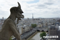Paris (17)
