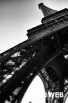 Paris (20)