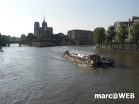 Paris (30)