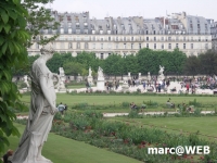Paris (49)