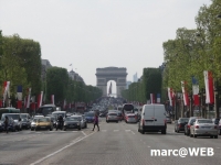 Paris (51)