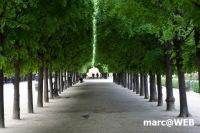 Paris (7)