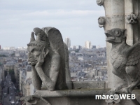 Paris (74)