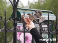 Paris (77)