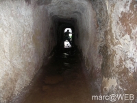 Arieiro_und_Ruivo__12_