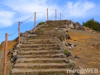 Arieiro_und_Ruivo__14_