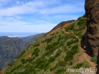Arieiro_und_Ruivo__16_