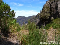 Arieiro_und_Ruivo__20_