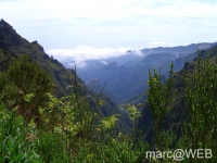 Arieiro_und_Ruivo__24_