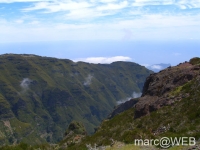 Arieiro_und_Ruivo__37_