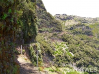 Arieiro_und_Ruivo__38_
