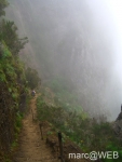 Arieiro_und_Ruivo__52_