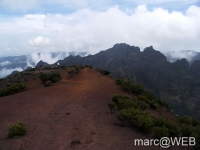 PICT0091
