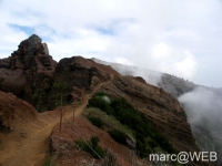 PICT0135