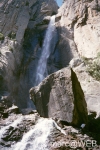 Pisco_di_Gallo__10_