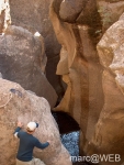 Pisco_di_Gallo__12_