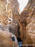 Pisco_di_Gallo__13_