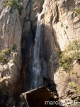 Pisco_di_Gallo__16_