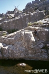 Pisco_di_Gallo__4_