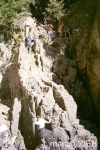 Pisco_di_Gallo__9_