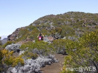fournaise__11_