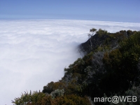 fournaise__13_