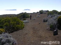 fournaise__14_