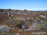 fournaise__25_