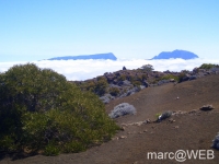 fournaise__26_