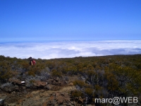 fournaise__27_