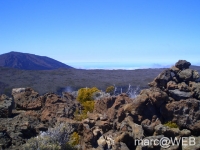 fournaise__29_