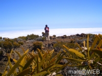 fournaise__30_