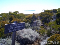 fournaise__31_