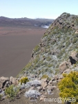 fournaise__8_