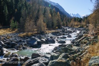 A wild river in the Alps of Switzerland in Fall