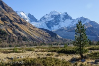 Mountains of Maloja, Switzerland