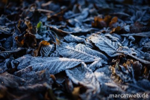 20161204-143547-DSC06123