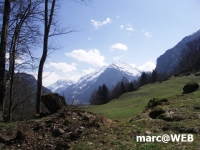 Meiringen 028.JPG