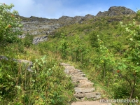 reinebringen-06