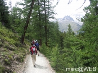 Zermatter_Rothorn__21_